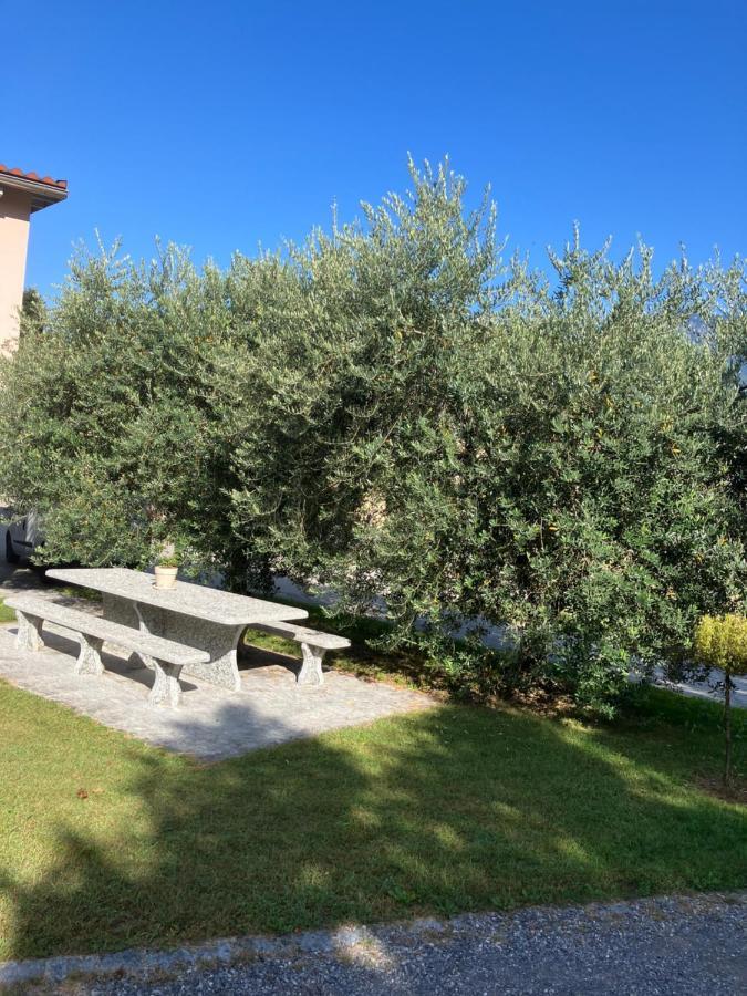 Residenza Giovanni Contone Luaran gambar